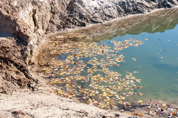 Quarry shore, yellow leaves on the water