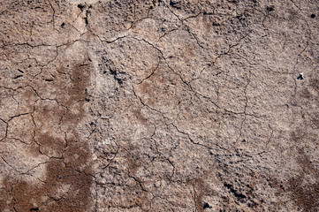 Brown dry ground with cracks.