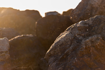 a swarm of midges flies over a stone by the sea