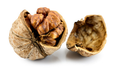 Fototapeta premium walnut close-up macro high resolution isolated on white background