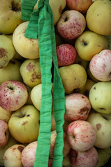 Natural organic red  and green apples from grandma's garden. Without retouch