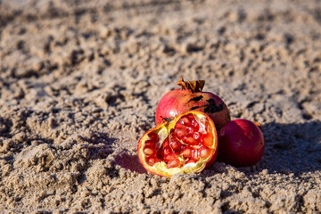 Torn, red pomegranate lies on the sand.