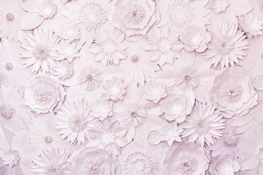 white paper flowers on the wall, background, toned