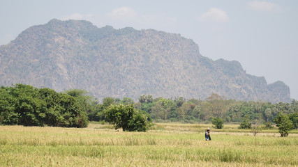 Moutain and grass landscape near the Mahar Sadan Cave in Hpa-An, Myanmar / Burma.