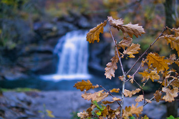 Herbst mit Wasserfall