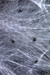 stretched white web and black spiders, background for the holiday Halloween