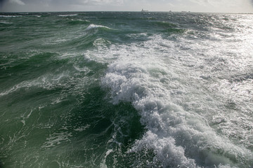 Waiting for the storm to pass