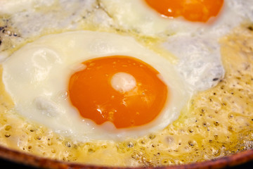 fried eggs in a pan close-up during frying, frying chicken eggs