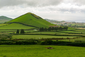 Obraz premium Scenes from the Azores counrtyside 