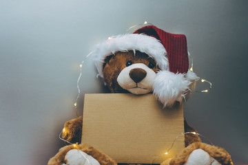 Christmas card with Teddy bear holding a place for text and other Christmas decor light garland.