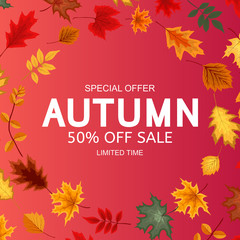 Abstract Vector Illustration Autumn Sale Background with Falling Autumn Leaves