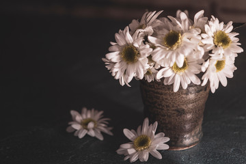Flowers colored, dark and moody