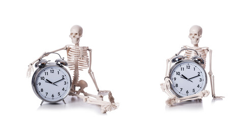 Skeleton with alarm clock on the white
