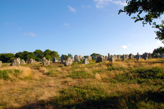 standing Carnac stones (menhir) in alignment