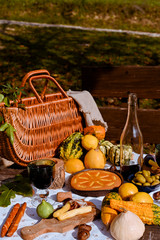 Table prepared for lunch in autumn nature, picnic . Harvest, autumn lunch, Wine and glasses. Outdoor meeting.