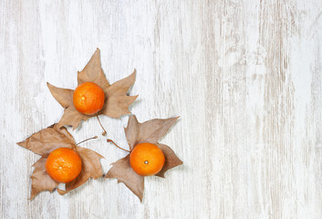 TANGERINES ON TREE LEAVES AND LIGHT WOOD FUND. AUTUMN FRUIT