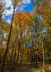 Fall Colors on the Hiking Trail in the Valley