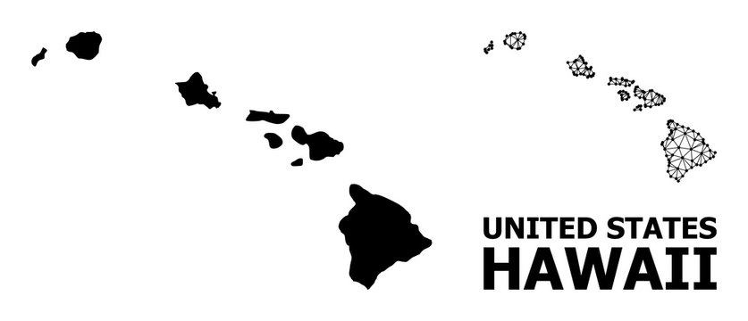 Fototapeta Solidna i siatkowa mapa stanu Hawaje