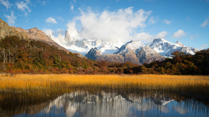 Autumn colors of vegetation around the lagoon Capri with Mount Fitzroy covered by clouds, National Park de los Glaciares, Argentina
