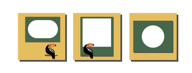 Design frames for social media banner with toucan.Set of post frame templates.Vector cover. Mockup for personal blog or shop.Layout for promotion, sale.