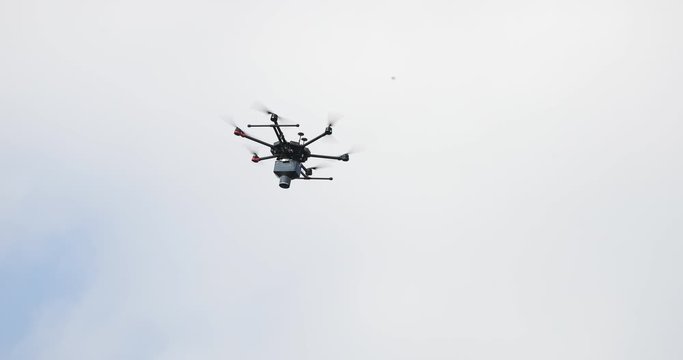 Application of trichogramma by drone for controlling the european corn borer