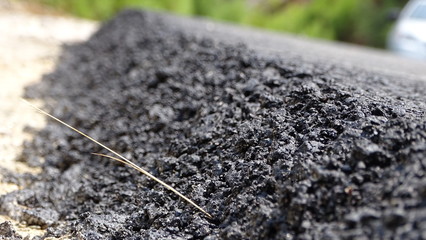 boden, pflanze, green, natur, beschaffenheit, baugrund, gras, piter, wachstum, blatt, fels, frühling, ackerbau, kies, black, braun, dirt, keimling, garden, keimen, existenz, dekor, anbau, abtrocknen, 