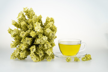 Bunch of mountain tea Malotira and mug with hot tea. Greek traditional herbal tea in transparent cup. Mountain tea sideritis. Natural Greek herbs.