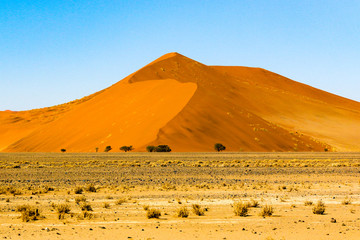 Fototapeta na wymiar Désert de Sossusvlei en Namibie, Afrique