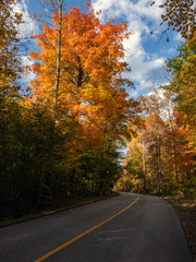 Autumn Colors in Virginia Kendall