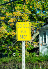 Obraz premium A road sign SCHOOL BUS STOP on a signpost painted in yellow color