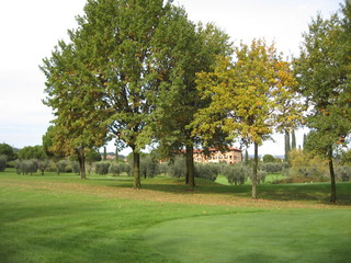 Fototapeta na wymiar Golfplatz im Herbst - Bäume mit gelben Blättern