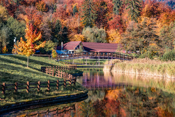 Fototapeta na wymiar Autumn landscape in Noua public park in Brasov town