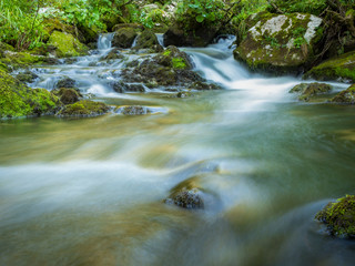 Water stream from Padis, a mountain place from Apuseni Natural Park, from Romania