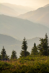 Apuseni mountain range from carpathians mountains of Romania.