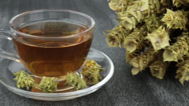 Bunch of mountain tea Malotira and mug with warm tea. Greek traditional herbs. Greek mountain tea with transparent cup on wooden background. Tsai vounou natural herbal tea.