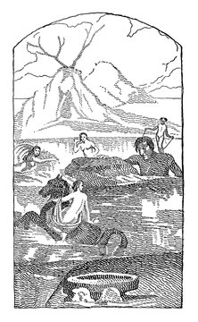 Galatea vintage illustration.