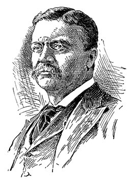 Theodore Roosevelt, vintage illustration