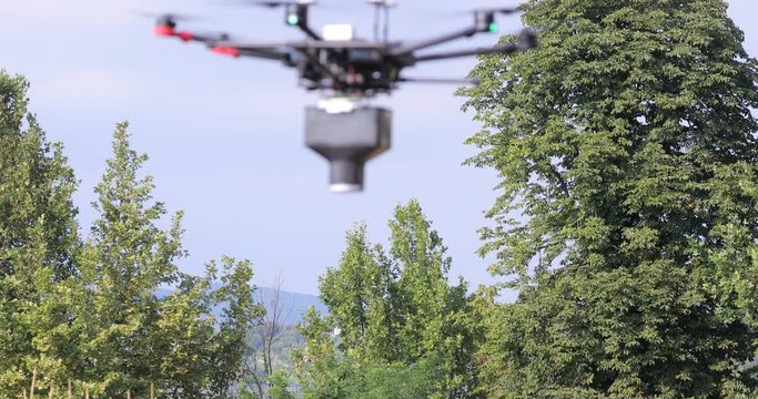 Application of trichogramma by drone for controlling the european corn borer