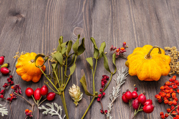 Halloween autumn concept. Pumpkin, mistletoe, elderberry, poppy, hop, dog rose, schisandra