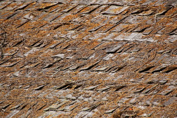 Traditional wooden shingles on a roof of small hut