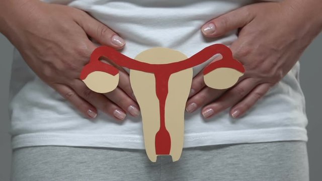 Girl showing female reproductive system sign, health problem, infertility