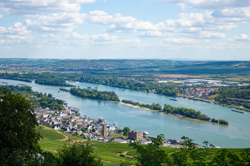 ドイツのリューデスハイムにあるニーダーヴァルドの丘からのライン川の眺め