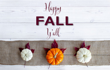 Happy Fall Y'all lettered on white wood background with orange and white pumpkins on burlap with...