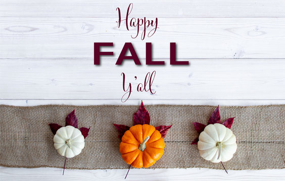 Happy Fall Y'all lettered on white wood background with orange and white pumpkins on burlap with purple maple leaves