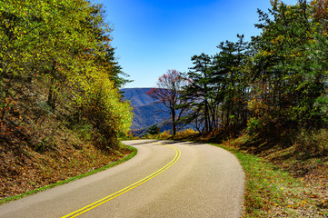 Fall Road Turn