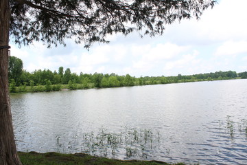 lake in forest