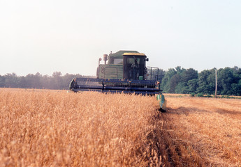 farmer combine in field towards camera