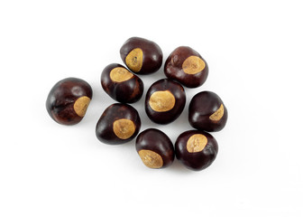 a group of horse chestnuts (conkers) on white background