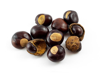 a group of horse chestnuts (conkers) on white background