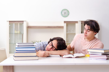 Two male students preparing for exams at home